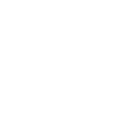 魚(yú)