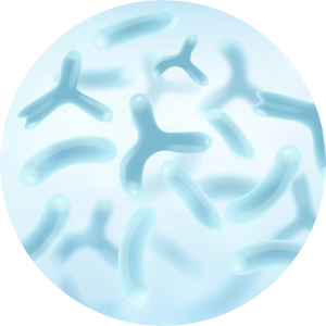 LAB2PRO?<br>韓國(guó)專(zhuān)利雙層保護(hù)益生菌ABC三合一常好順暢配方