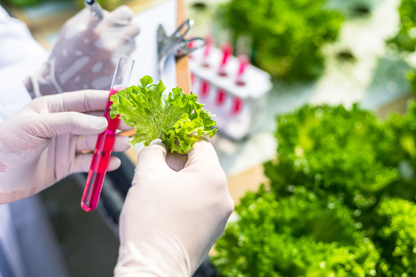 科研基礎(chǔ)提供食品健康方案